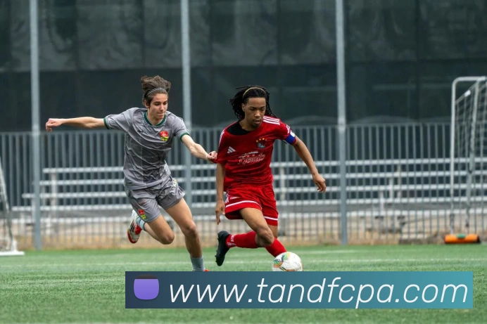 巅峰国际APP 高清赛事图